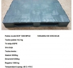 ddp-1208-mp-q2